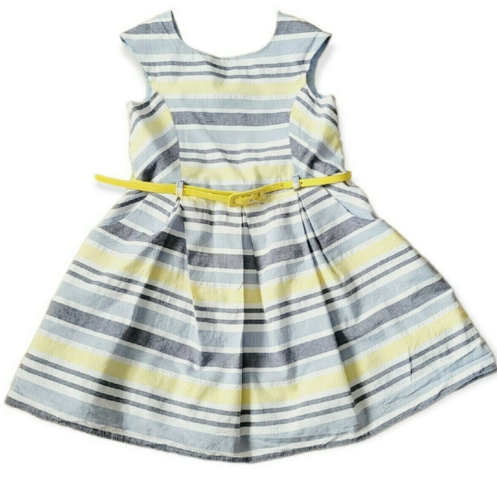 St. Bernard striped blue yellow white striped dress